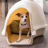 image:imageIRIS USA Igloo Dog House WhiteBeige Small and Medium Dogs and Cats IndoorOutdoor