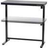 image:imageIRIS USA 48 x 24 Inch Standing Desk Electric Height Adjustable Computer Desk Sit Stand Home Office Desk with Drawer Pet and Kids Safe Table with USB Ports and USB TypeC Port Matte Top