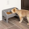 image:imageIRIS USA Elevated Dog Bowls Adjustable Stand Raised Feeding Station with Removable Double Food and Water Bowls Easy Clean Design Indoor Pet Feeding System for Small to Large Dogs GrayDog Feeding Station Pack of 2