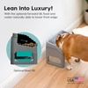 image:imageIRIS USA Elevated Dog Bowls Adjustable Stand Raised Feeding Station with Removable Double Food and Water Bowls Easy Clean Design Indoor Pet Feeding System for Small to Large Dogs GrayDog Feeding Station Pack of 2