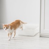 image:imageIRIS USA Large Open Top Cat Litter Box Kitty Litter Pan Pearl